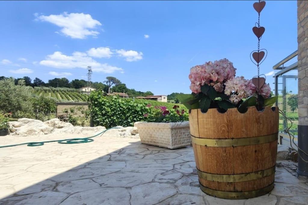 Gioiavitae - Bed-in-botte - Dormire In Vigna *